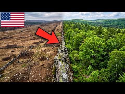 New England Abandoned 12 Million Acres of Farmland — What Grew Back Changed Everything