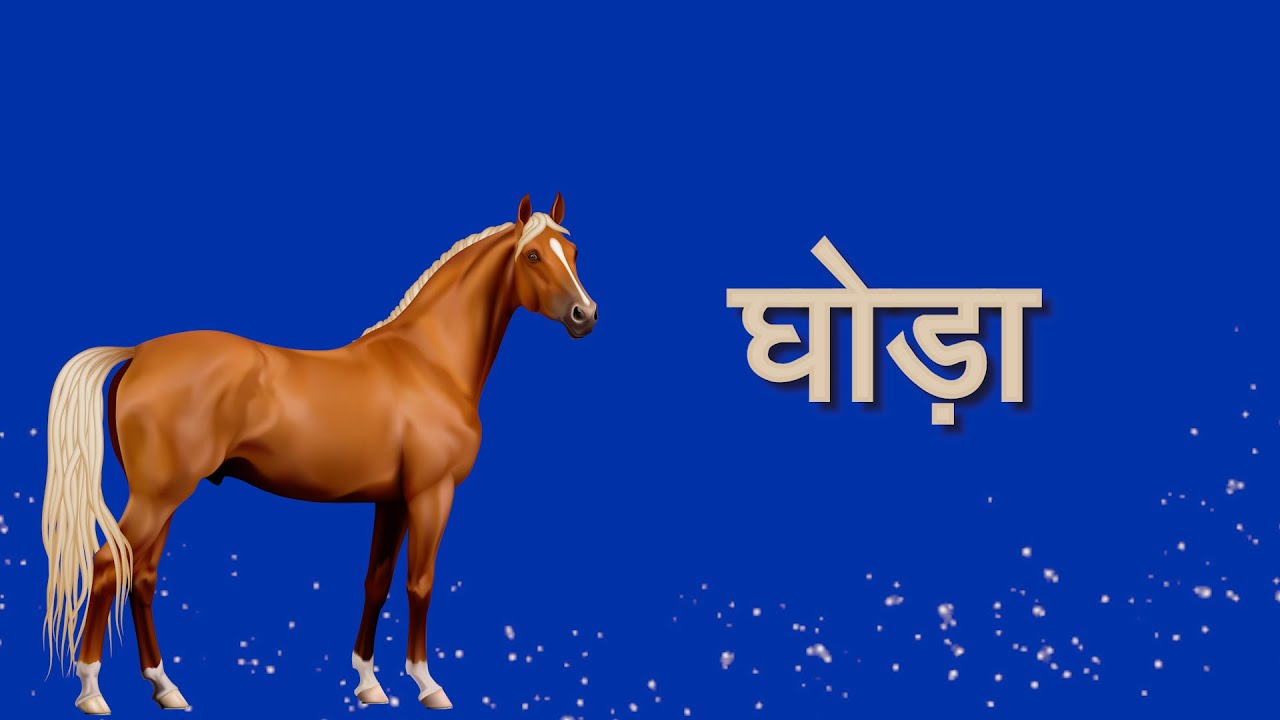 essay on horse baby in hindi