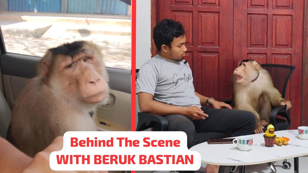 БЕРУК БАСТЯН СЕГОДНЯ МНОГО ДРАМЫ‼️