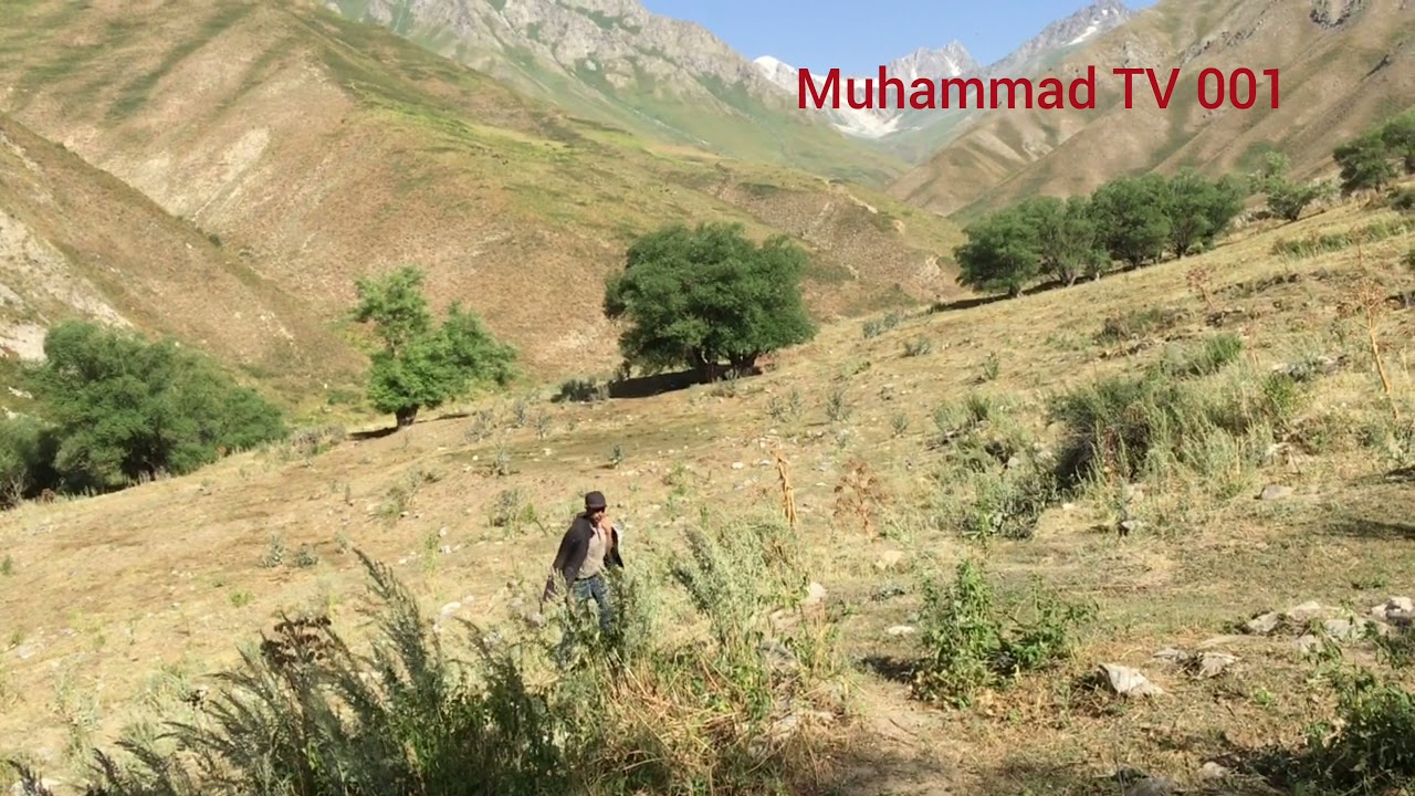 Таджикистан. дараи ясман.