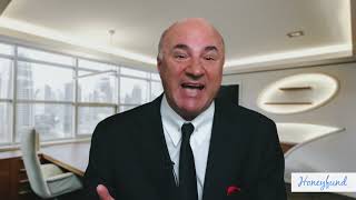 Famous Invest in the Future of Honeyfund with Mr. Wonderful Wealth