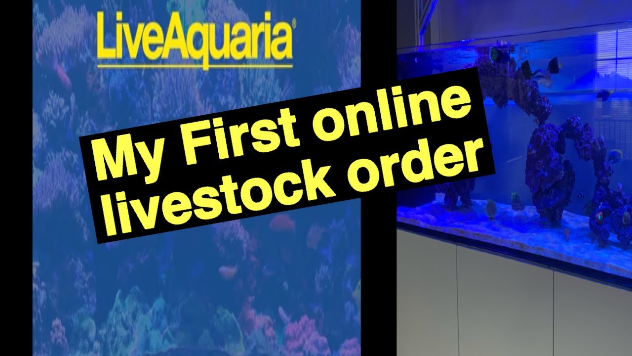 EPISODE 7 LiveAquaria Unboxing and Review Part 1 of 2. Waterbox