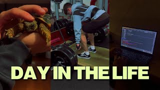 Day In The Life Deadlifty, Želva Ninja A Nepijte Monstery