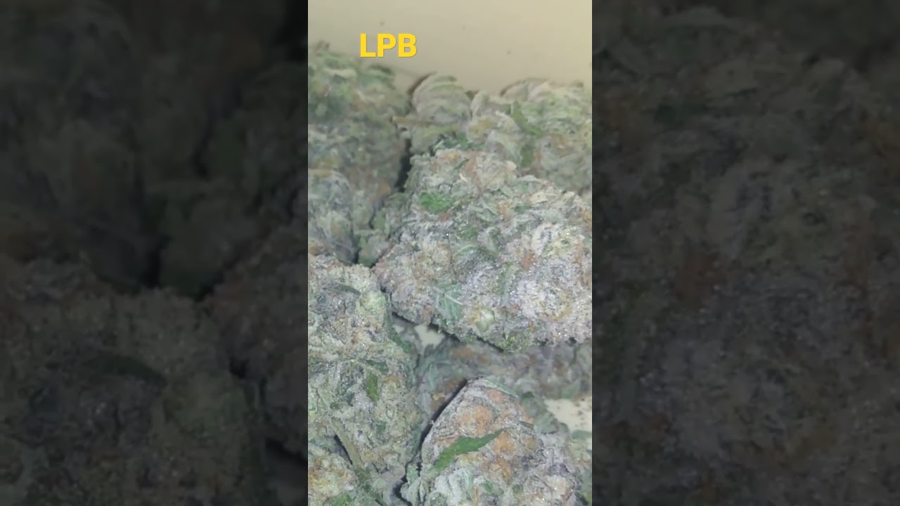 low price bud Hawaiian  snow