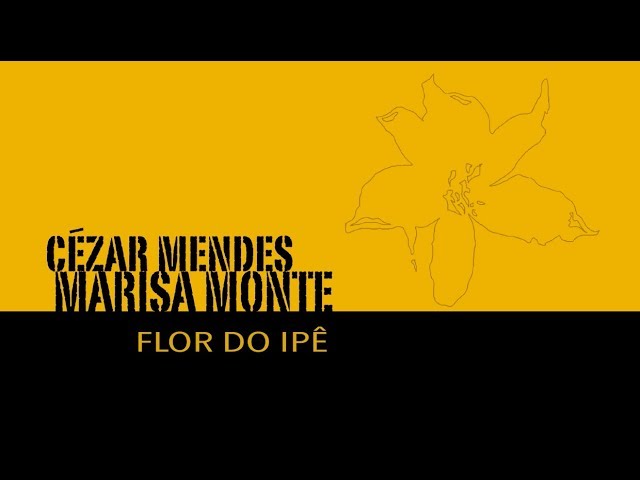 MARISA MONTE - FLOR DO IPE