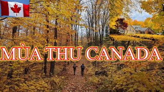 MÙA THU CANADA 🍁 CUỘC SỐNG CANADA 🇨🇦