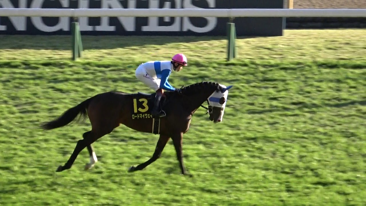 【競馬】キャピタルステークス(L) 本馬場入場 現地映像 ピースワンパラディ YouTube