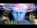6 Hour Study Music Alpha Waves: Relaxing Studying Music, Brain Power, Focus Concentration Music ☯161