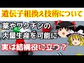 あなたの知らない遺伝子組換え品【ゆっくり解説】