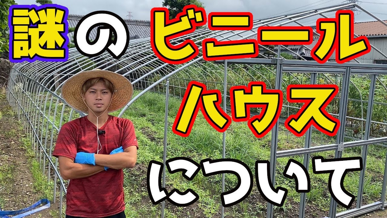 Finally, let's talk about the mysterious greenhouse. - YouTube