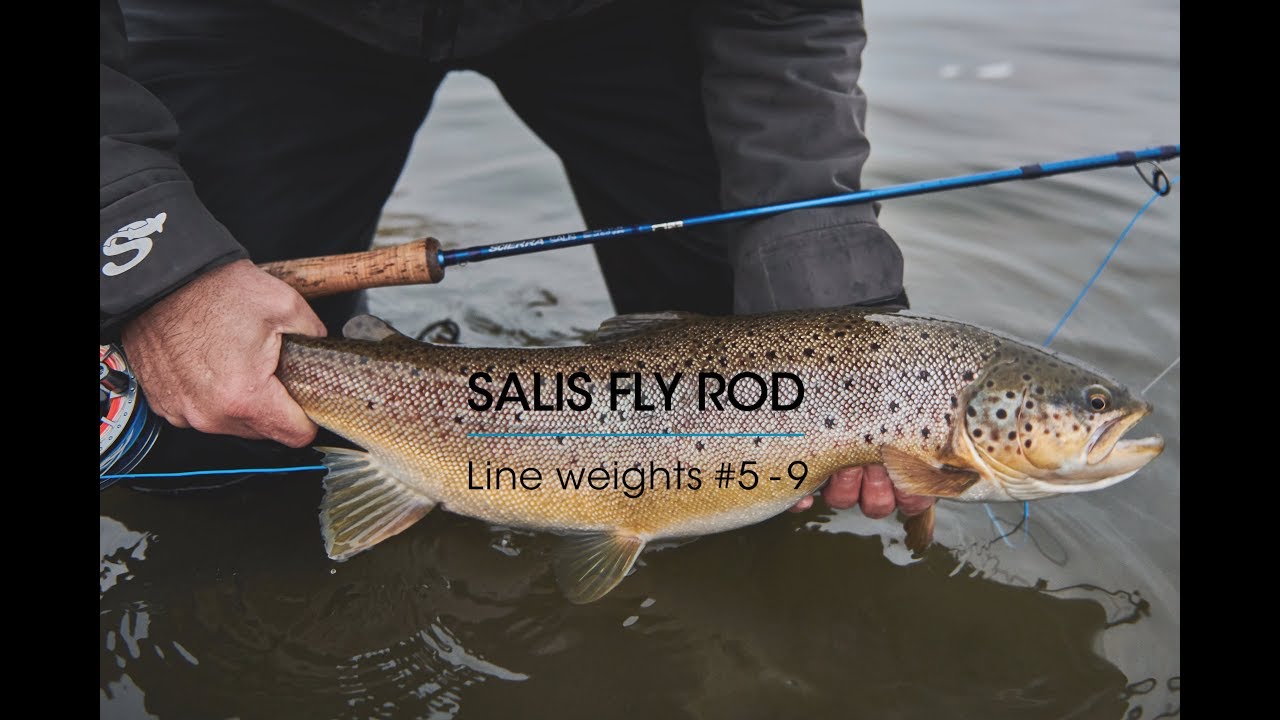 Scierra Fly Rods Scierra Salis Fly Rod - YouTube
