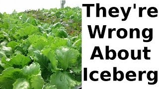 The Iceberg Lettuce Nutrition Myth