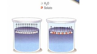 Qué Es La Ebulloscopia?