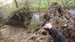 Exploring Saltpetre Cave in Barren County, KY
