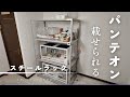 Steel Rack] Steel rack that can hold Pantheon 9045 [Hedgehog Cage