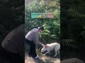 این صحنه را ببینی باز خودت میدونی هاپو نزهه کمک نزهه البرزخ حق زندگی غذا رسانی
