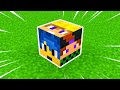 NON ROMPERE I BLOCCHI DEGLI YOUTUBERS FAMOSI ! - Minecraft ITA
