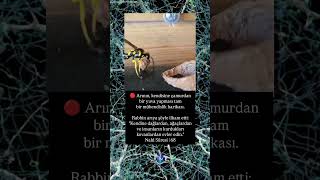 Arının Çalışması Beğen Paylaş Abone Ol Özler Ür