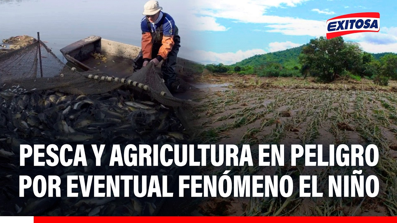 🔴🔵 Actividad pesquera y agraria podrían peligrar ante fenómeno El Niño este año, advierte la SNP