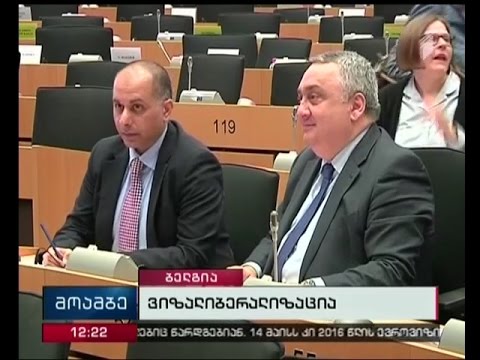 ევროპარლამენტსა და ევროსაბჭოში საქართველოსთან სავიჟო რეჟიმის გაუქმებისთვის პროცედურები მიმდინარეობს