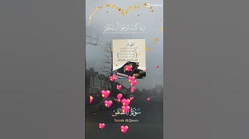 تلاوة جميلة عذبة عطرة مباركة خاشعة للشيخ سعد الغامدي ماتيسر من سورة القصص