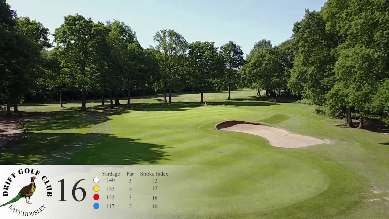 Drift Golf Club, East Horsley, Golf course information and reviews.