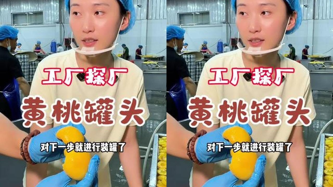 Must-Try Dangshan Yellow Peach Canned Fruit - YouTube