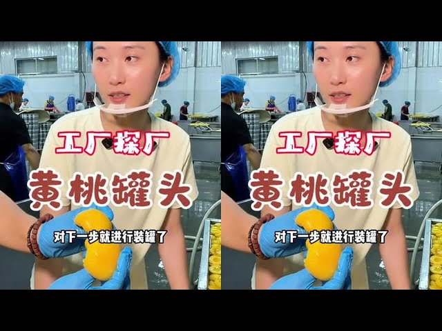 Must-Try Dangshan Yellow Peach Canned Fruit - YouTube