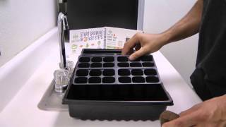 Cabinet Grow - Starting seedlings in your Grow Box! This video will show you how to start seedlings in Cabinet Grows