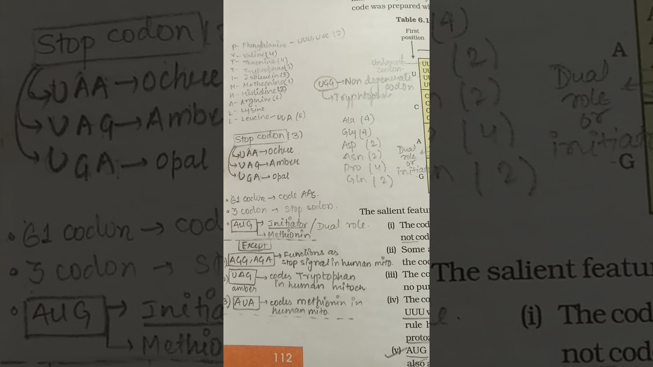 GENETIC CODE