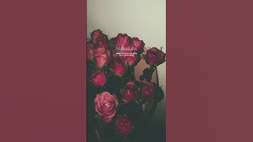 يَا أَيُّهَا الْمُزَّمِّل قُمِ اللَّيْلَ إِلَّا قَلِيلًا #قران_كريم #قيام_الليل #تلاوة_خاشعة #quran