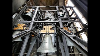 Stephansdom Wien - (A-1010 Wien) - Glocken (1-11 zum Pontifikalamt an Pfingsten