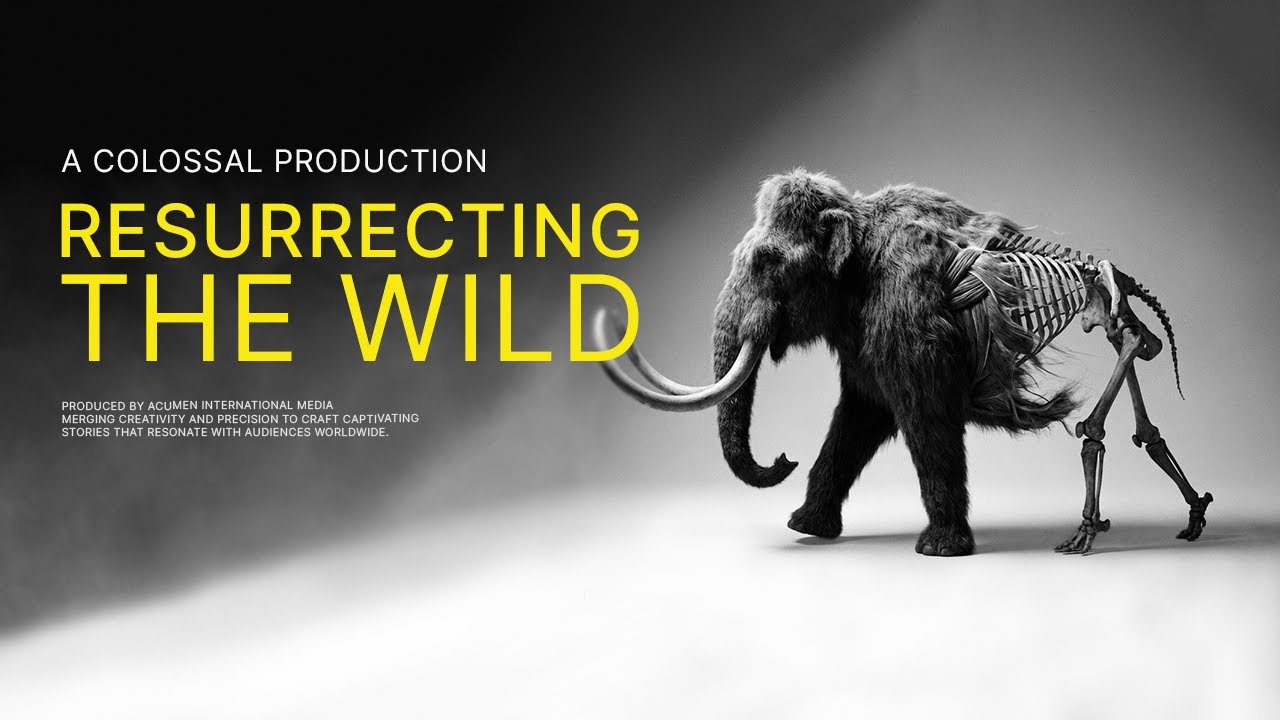 Колоссальные достижения в GSTI | Превращаем вымирание в пережиток прошлого