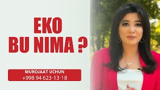 EKO bu nima?