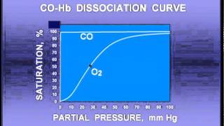 Blood Gas Transport