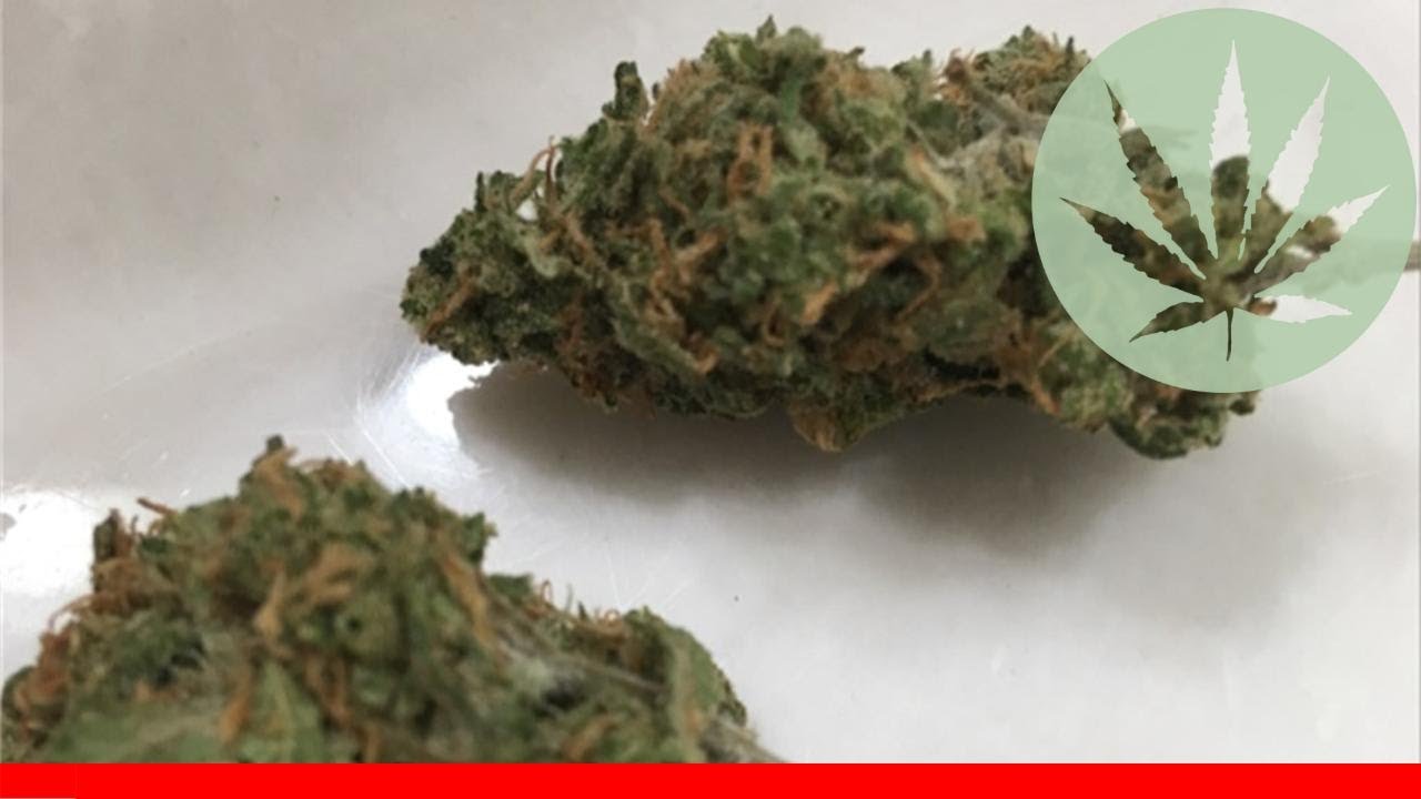 Apollo 13 - All About This Strain