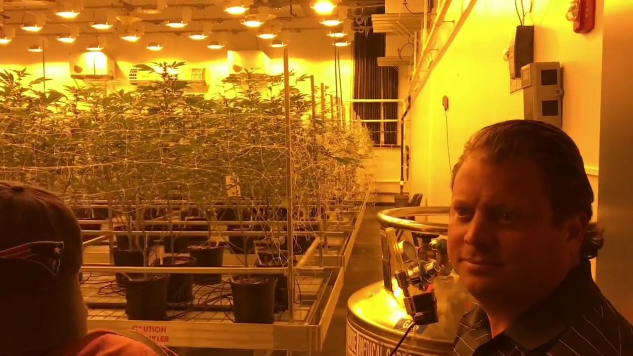 The Enterprise gets exclusive look inside In Good Health marijuana
