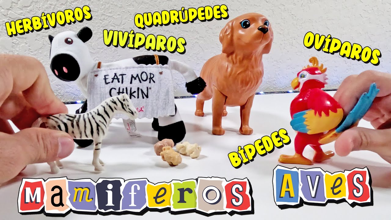 Classificação dos Animais: Quadrúpedes, Bípedes, Mamíferos, Aves ...