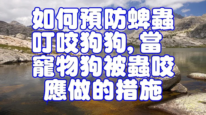 如何預防蜱蟲叮咬狗狗,當寵物狗被蟲咬應做的措施 - 天天要聞