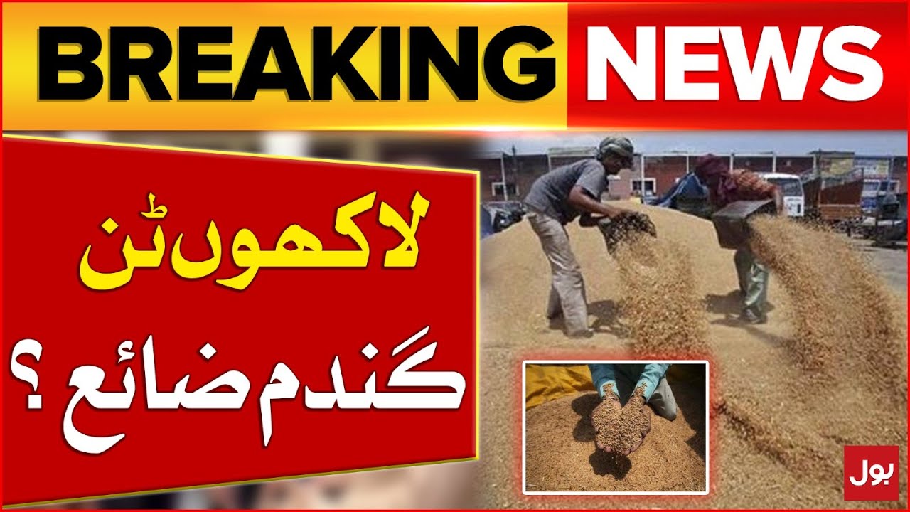 Shehbaz Government in Action | Wheat Scandal in Pakistan | Millions Of ...