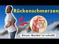 Rückenschmerzen (sind kein Bandscheibenvorfall) | Ursache & Lösung durch Übungen