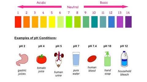 pH Basics