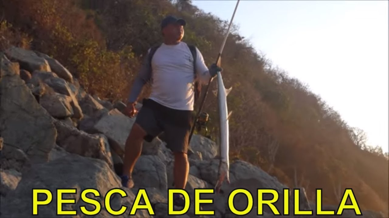 PESCA DE ORILLA, BARRA DE POTOSI pennywise