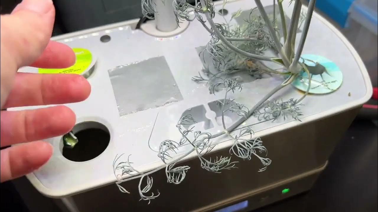 How and When to Add Water to Aerogarden Harvest Elite YouTube