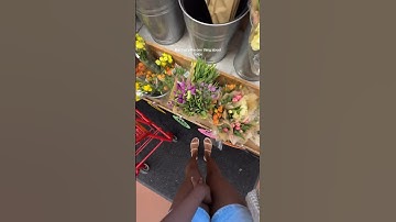 grocery shopping Sunday rest vlog! | Trader Joes haul part one #vlog #productivity #groceryshopping