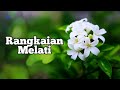 Download Lagu Rangkaian Melati - Lagu Keroncong Legendaris Indonesia - Plus Lirik di Deskripsi