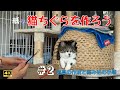 猫ちぐらを作ろう＃２  道具作成と編み始め