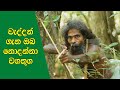        facts about ancient veddas  sri lanka veddo