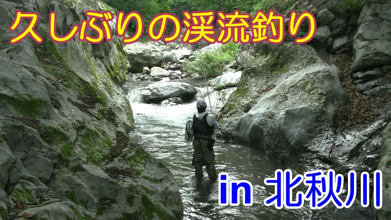 渓流釣り 約２ヶ月振りに釣りができる 東京都 北秋川釣行 Youtube
