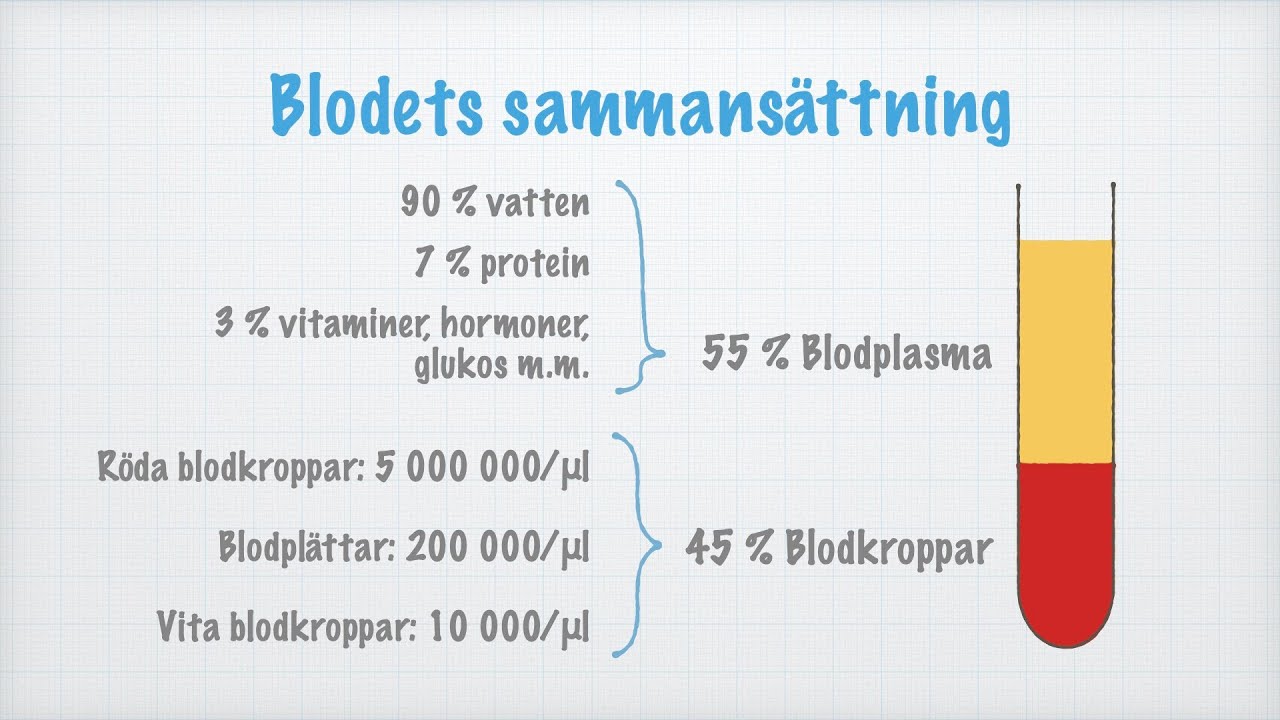 Blodets sammansättning